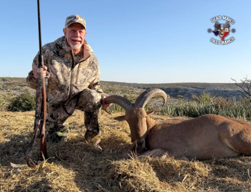 Rough Canyon Aoudad – “Oasis in the Desert”