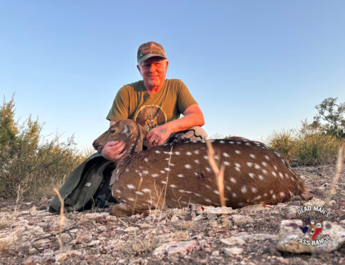 Under West Texas Skies: My Unforgettable Hunt at Dead Man’s Pass Ranch